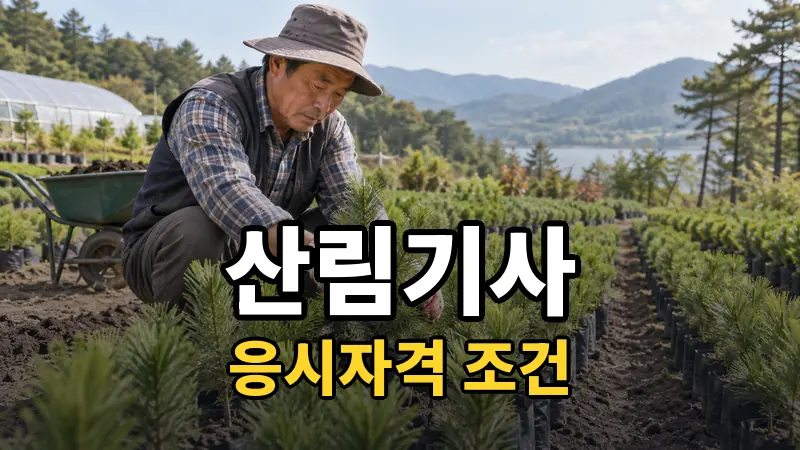 산림기사 응시자격 — 자세히 보기